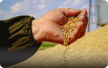 Реализация продукции